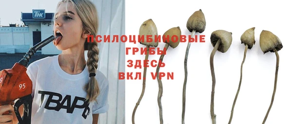 бутират Верея