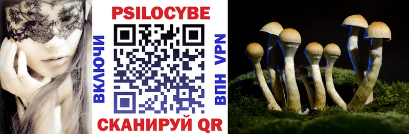 цена   omg ссылка  Галлюциногенные грибы Cubensis  Майкоп 