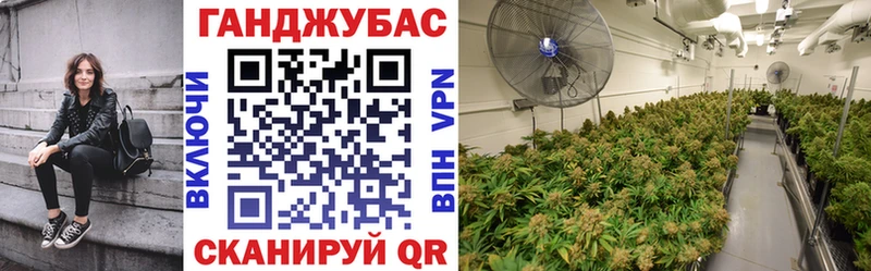 дарнет шоп  Майкоп  МЕГА ССЫЛКА  Бошки Шишки SATIVA & INDICA 